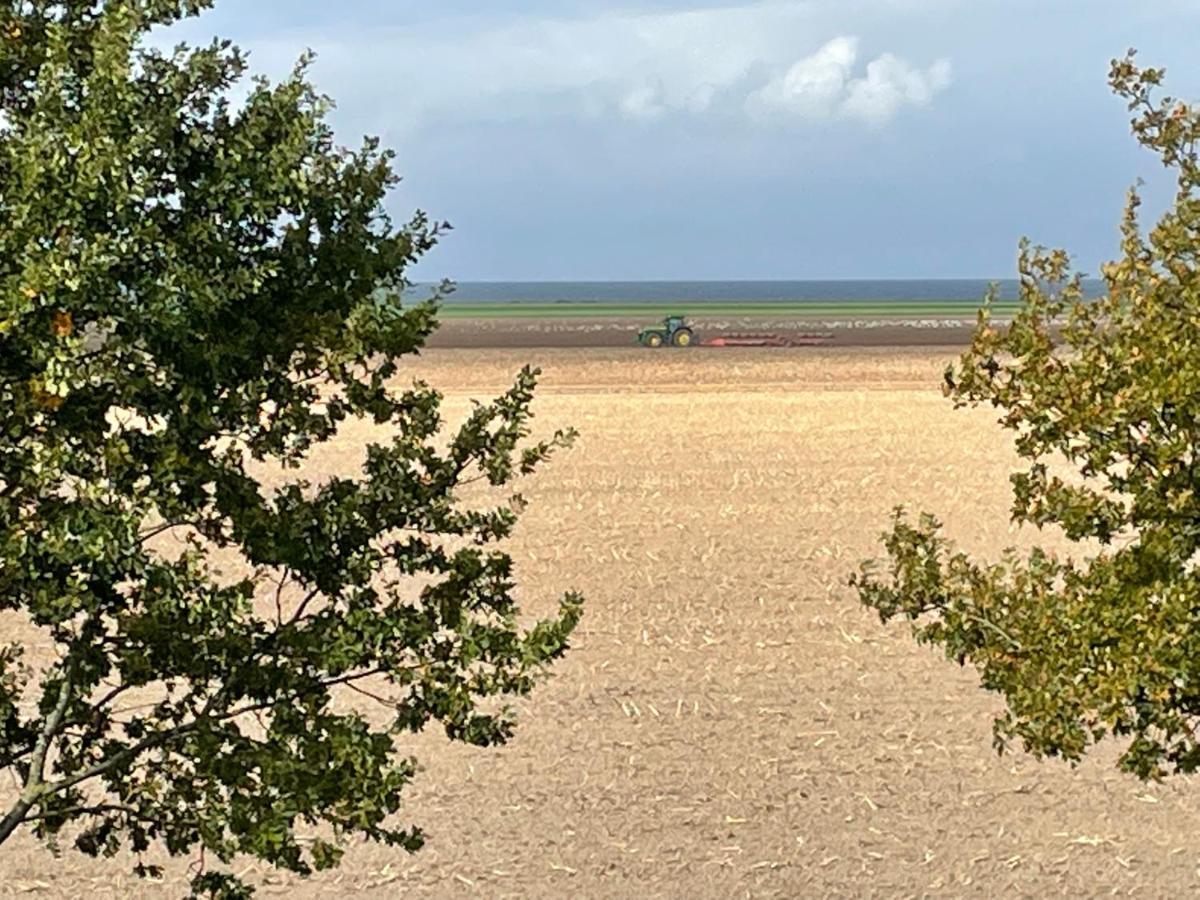 Ferienwohnungostseeblick Börgerende-Rethwisch Kültér fotó